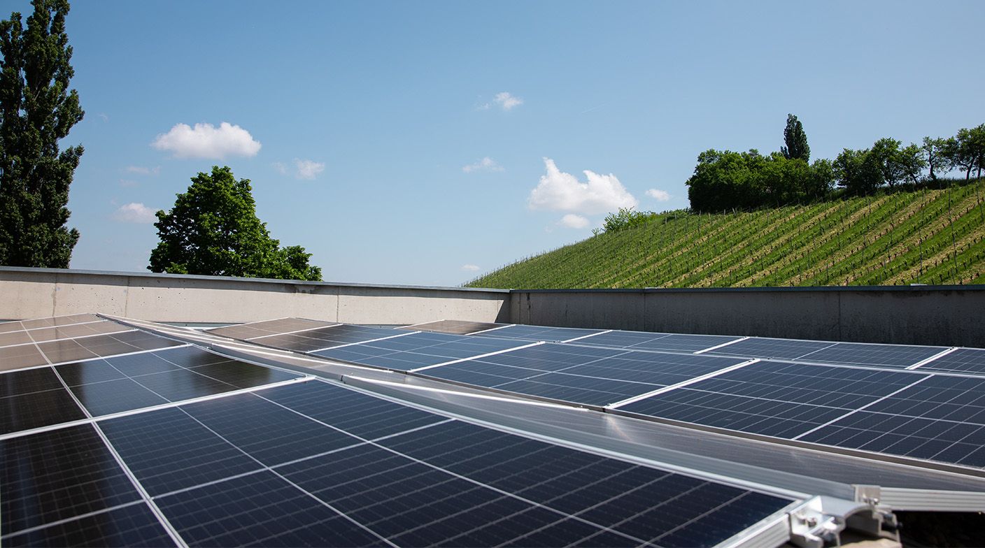 Photovoltaic system with vineyard in the background