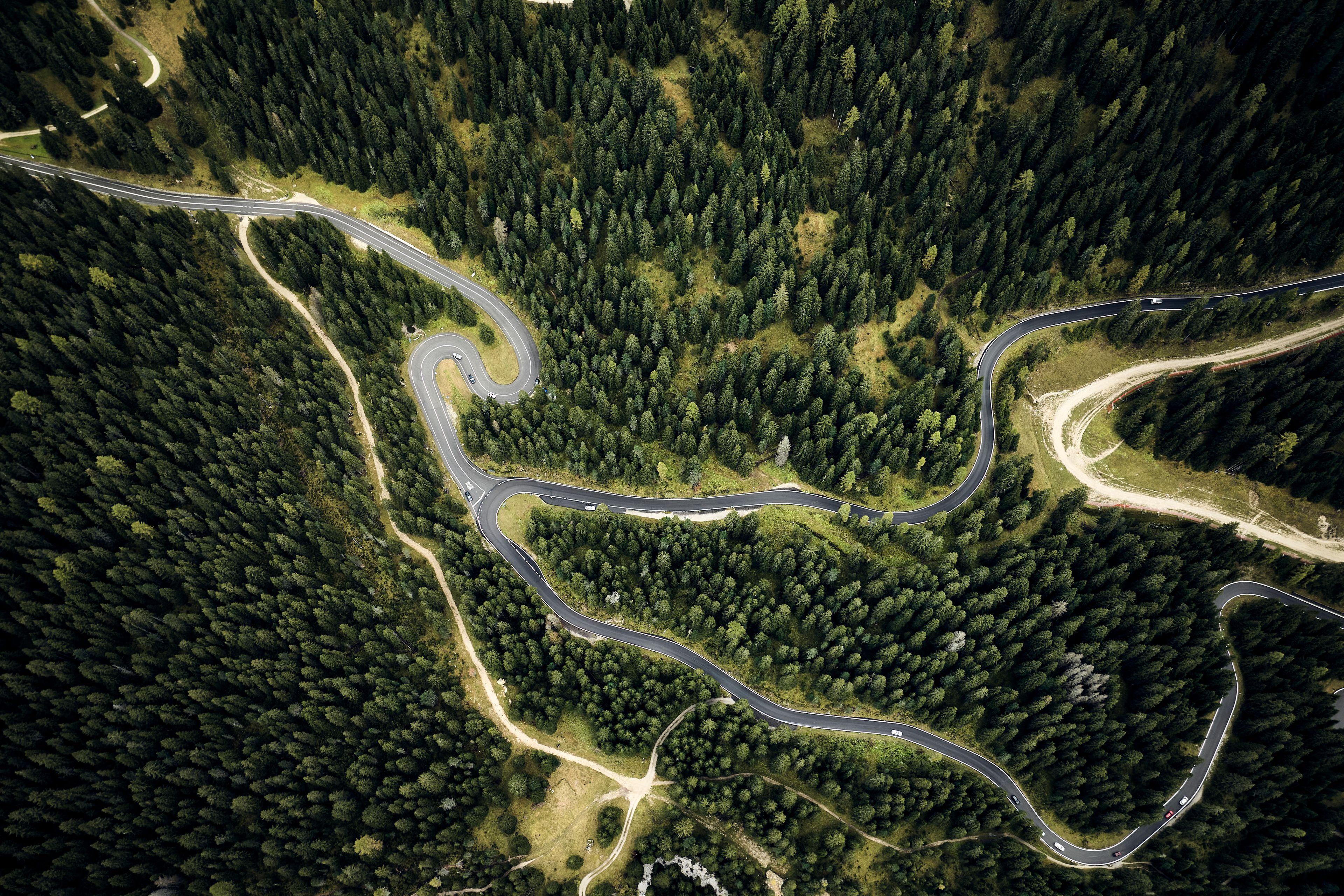 kurvenreiche Straßen durch einen Wald aus der Vogelperspektive