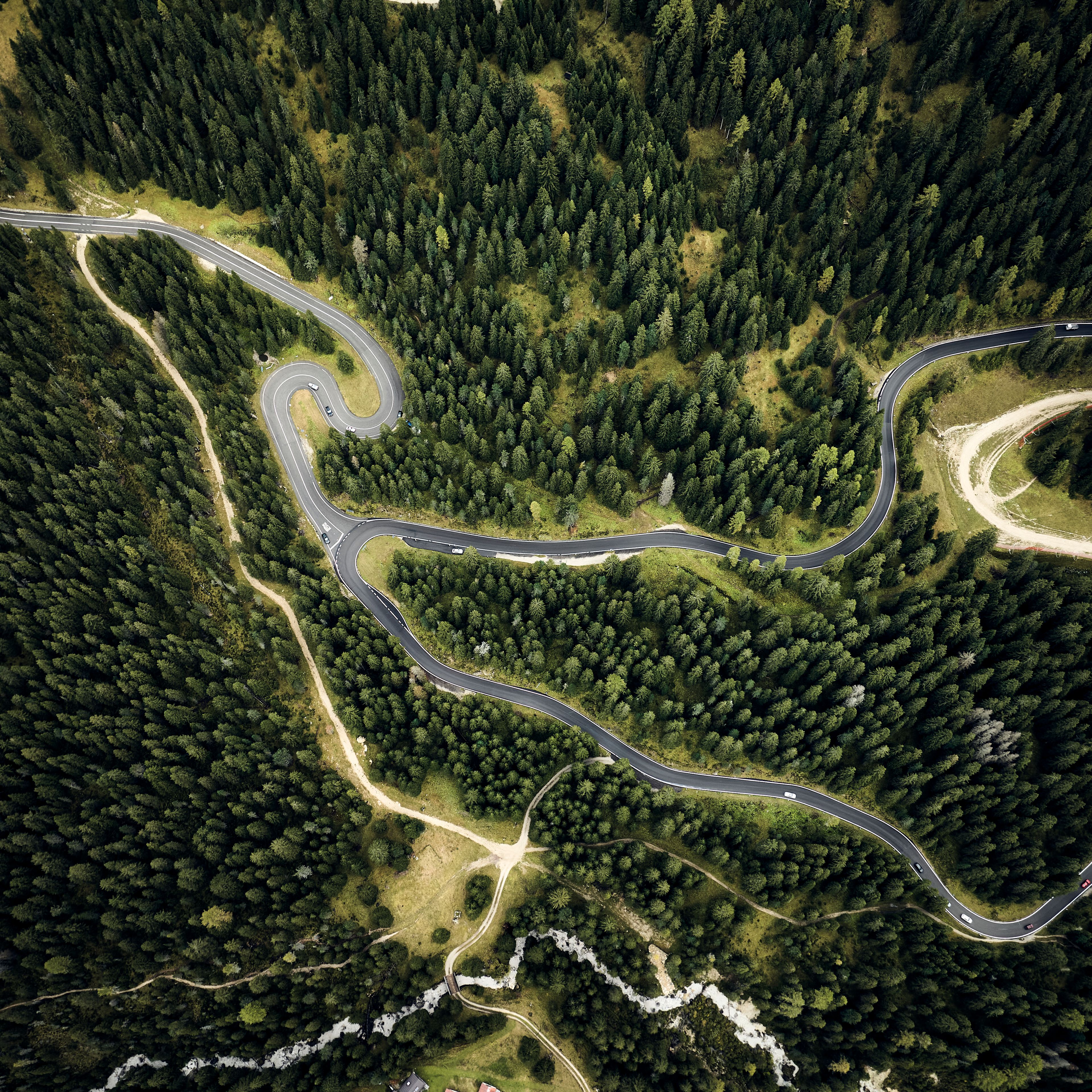 winding roads through a forest from a bird's eye view