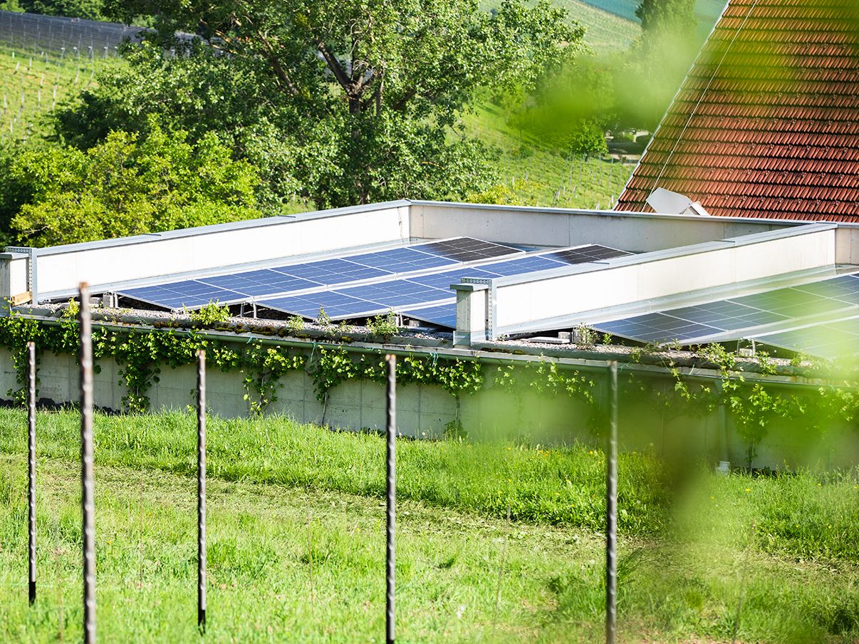 Photovoltaic system on a meadow