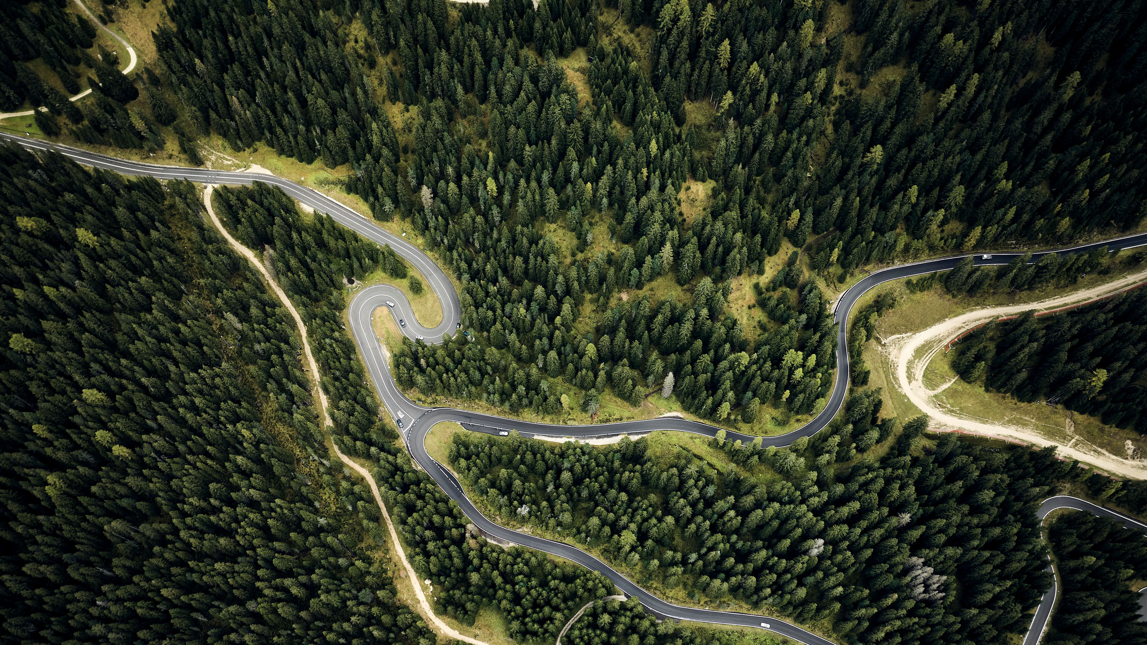 winding roads through a forest from a bird's eye view