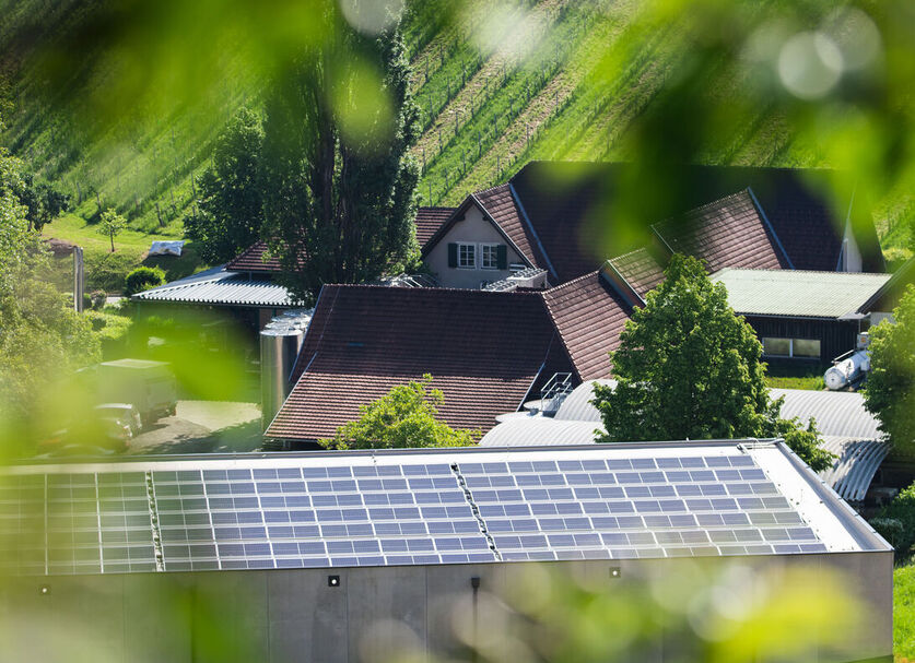Photovoltaic sustainable energy source, PV for a winery Polz